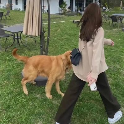 路人女主的养成方法第一季